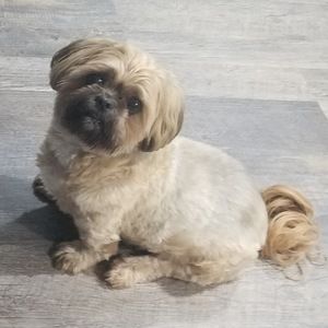 Meet your Posher, Michele